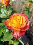 img20250515161028.jpg