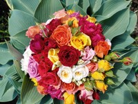 img20250526131006.jpg